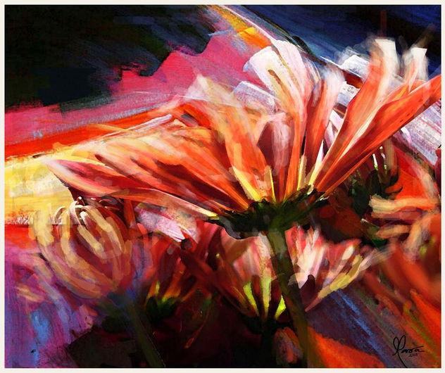 vento e flores