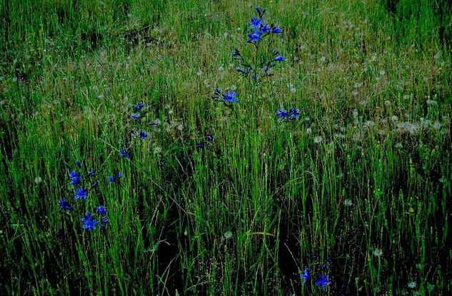 verde y azul 