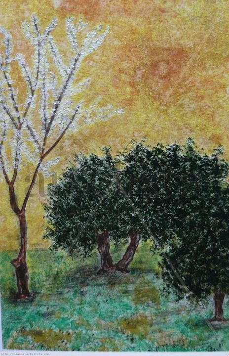 Olivos de jaén vi