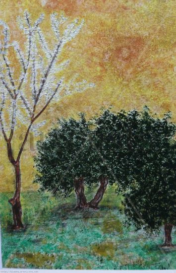 OLIVOS DE JAÉN VI Acrylic Card Landscaping