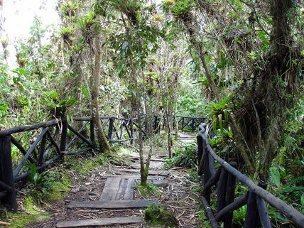 Sendero Ecológico...