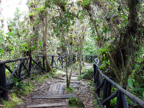 Sendero Ecológico...