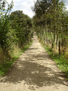 Caminos Rurales De La Cocha