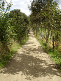 Caminos Rurales De...