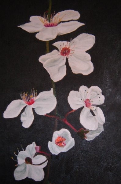 Flores de Cerezo