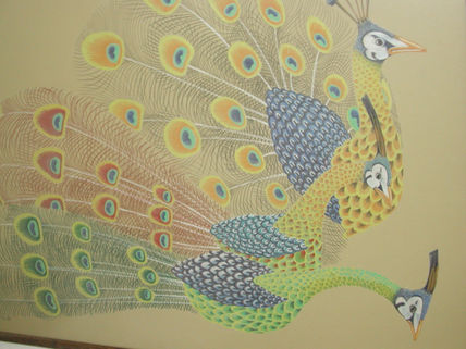 Pavo Reales