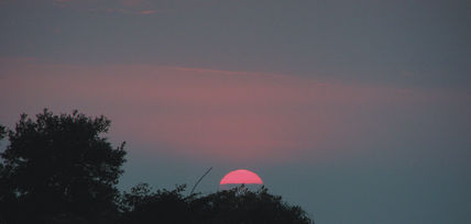 Ultimo Sol