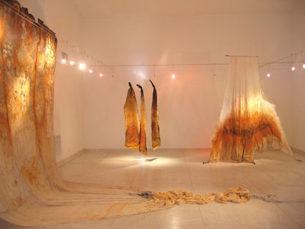 Exposicion "claro...