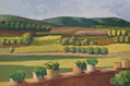 Camps des de la terrassa