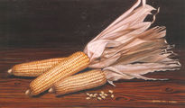 "Bodegón de maiz"