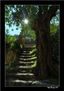 Escalera al Sol