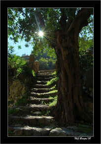 Escalera al Sol