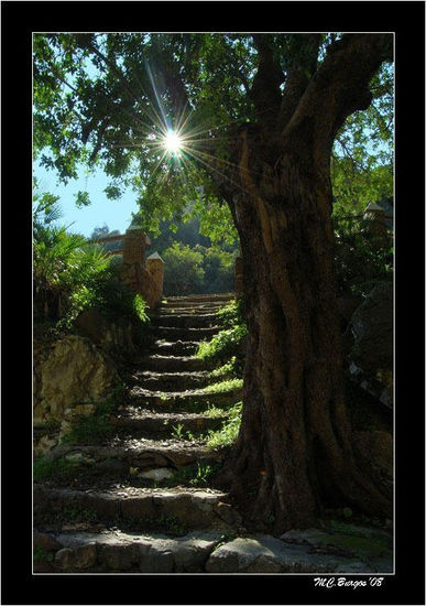 Escalera al Sol Nature Color (Digital)