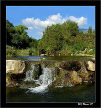 La Naturaleza sigue...