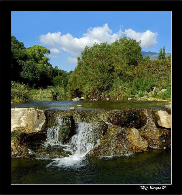 La Naturaleza sigue su curso