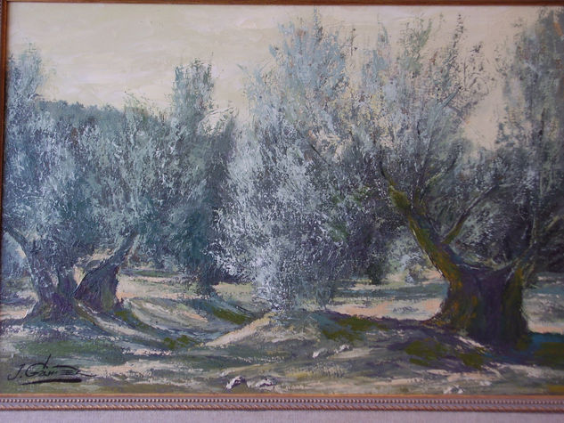 olivos. nº 3 Óleo Lienzo Paisaje