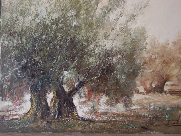 olivos. nº 7 Óleo Lienzo Paisaje