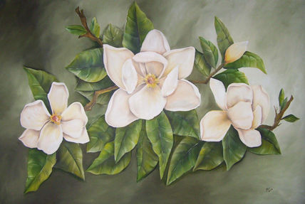 Magnolias