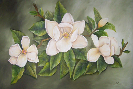 Magnolias