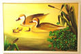 patos silvestres