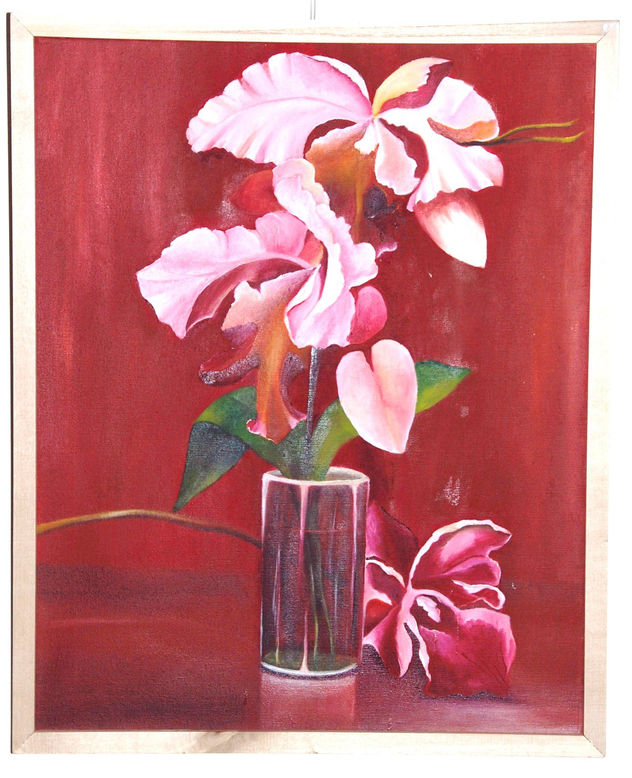 orquideas