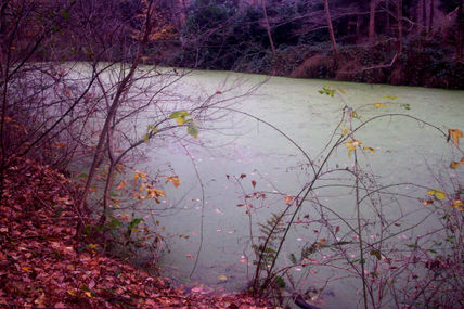 Quietud