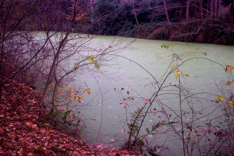 Quietud