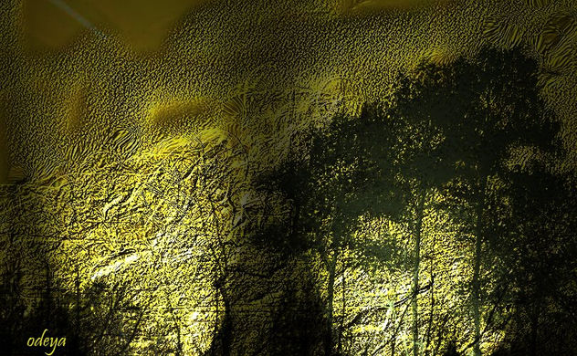 Arboles nocturnos