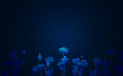 Azul amapola