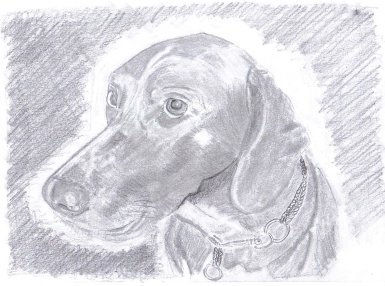 Mascota de mi hija Charcoal