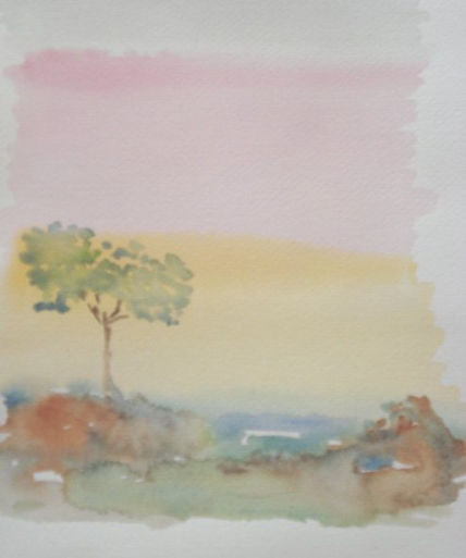Albero
