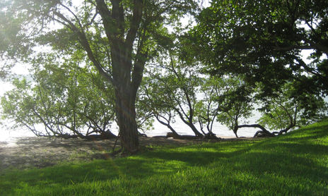 Golfo de papagayo