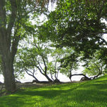 Paisajes del sur thumbnail 1