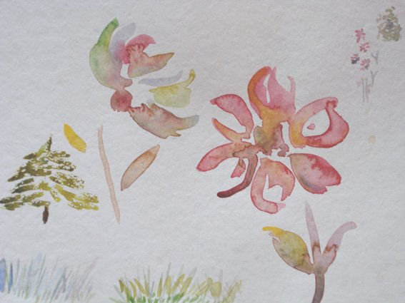 fiori