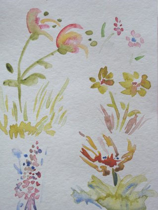 fiori sparsi