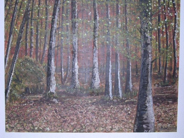 Bosque Oil Canvas Landscaping