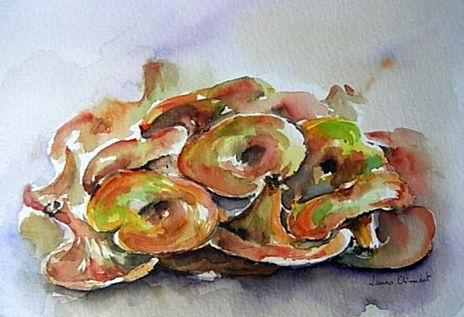 "Rovellons"