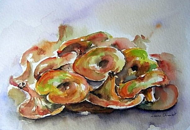 "Rovellons" Watercolour Paper Still Life Paintings