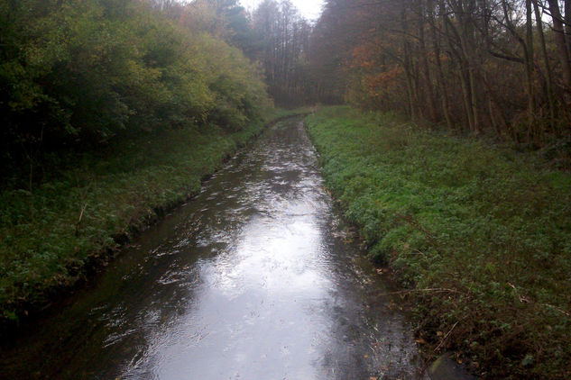 Canal de luz Naturaleza Color (Digital)