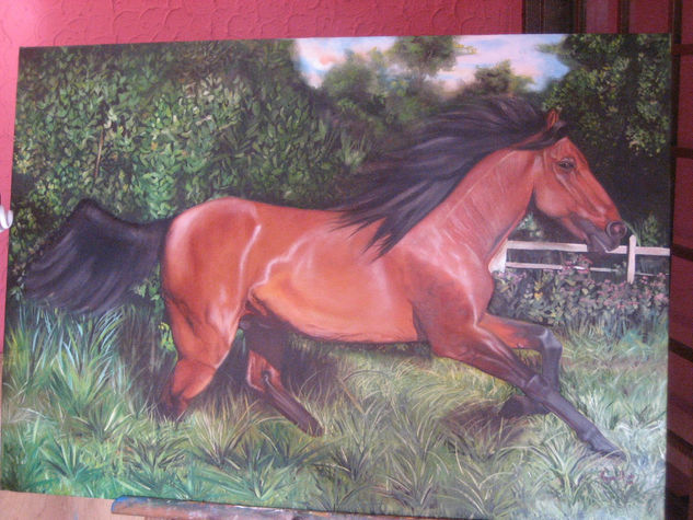 CABALLO 