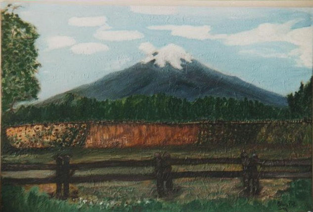 VOLCAN   VII REGION Oil Canvas Landscaping