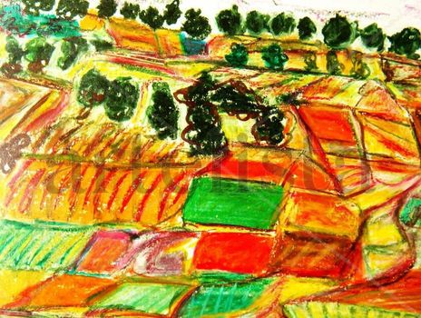 Campos de la...