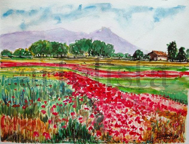 Campo de Amapolas