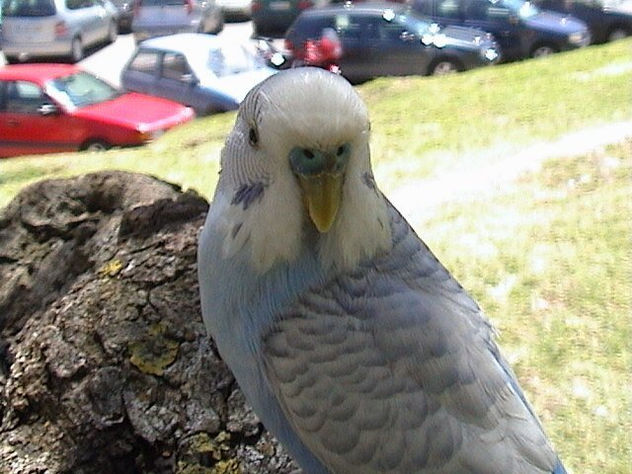 Que bem que eu estou para a fotografia!