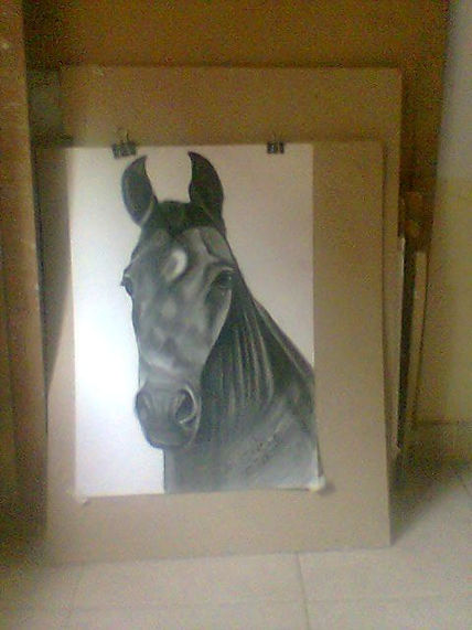Busto de caballo