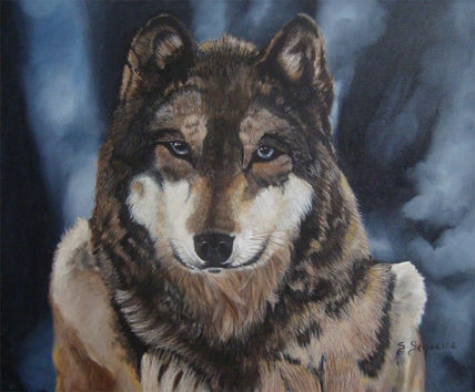 Lobo