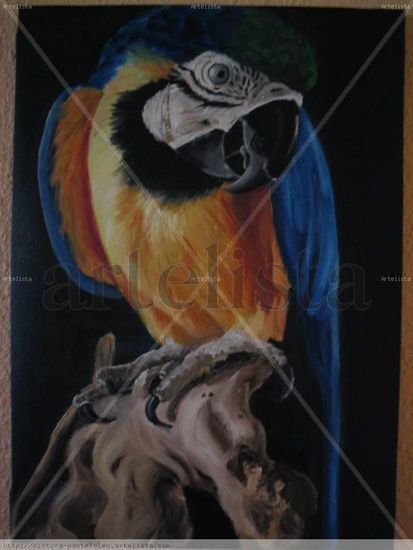 Guacamayo Oil Canvas Animals