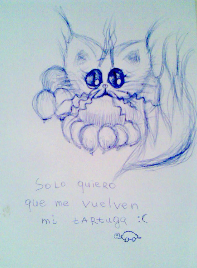 Solo quiero que se enquentran  mi tartuga:(