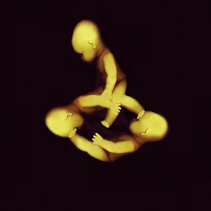 Uteraneo 8
