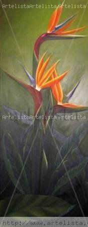 Aves del paraiso3